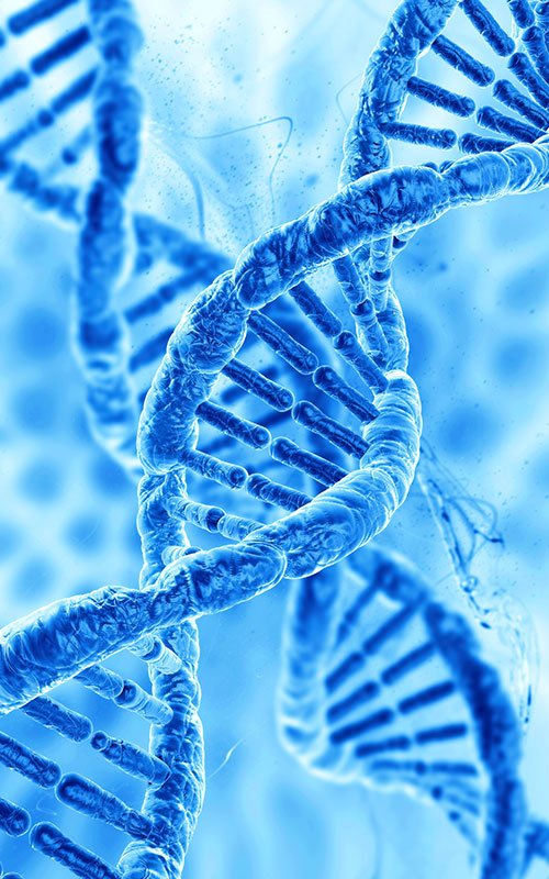 Anhua Bio uvádza na trh produkt PDRN: Rekonštrukcia globálneho dodávateľského reťazca surovín na regeneráciu tkanív pomocou syntetickej biológie